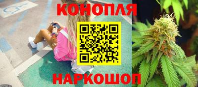 индика Гатчина
