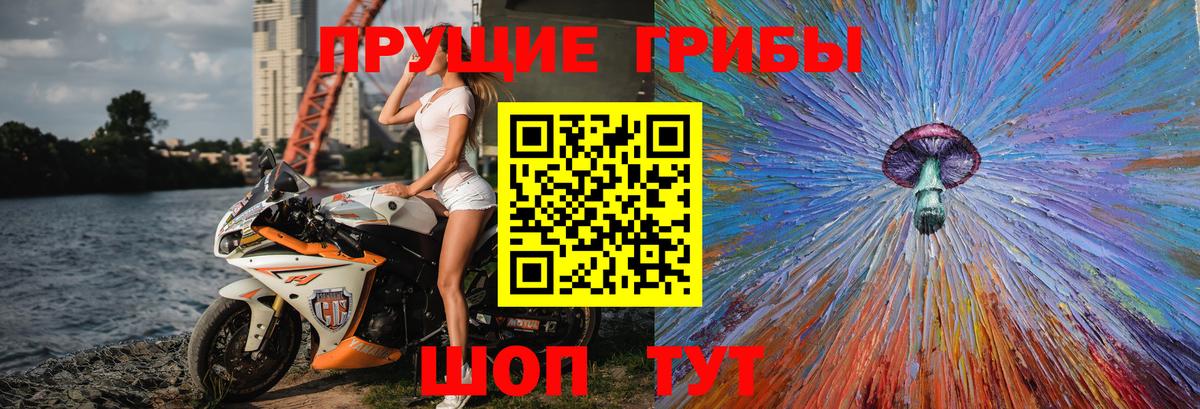 Псилоцибиновые грибы Psilocybine cubensis  Вход с VPN  Елабуга 